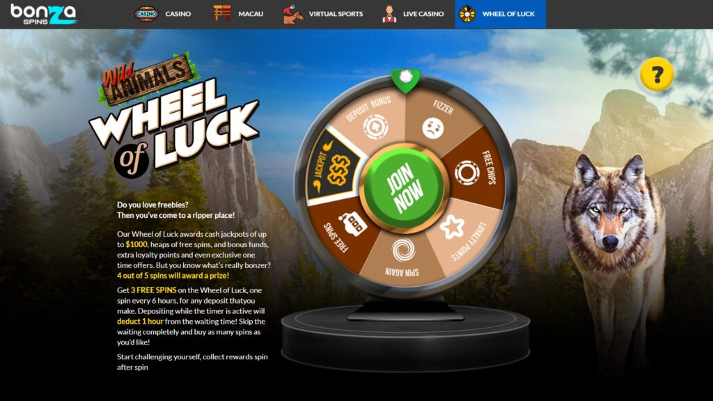Bonza Spins Casino Review 3 Bonza Spins Casino Wheel Of Luck