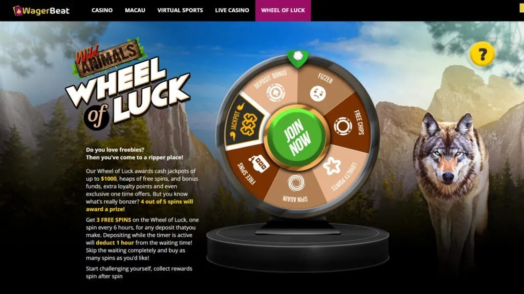 Wager Beat Casino Wheel Of Luck