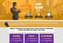 CryptoWild Casino Review 7 Cryptowild Casino Vip