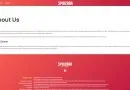 Spinzaar Casino Review 6 Spinzaar Casino About Us