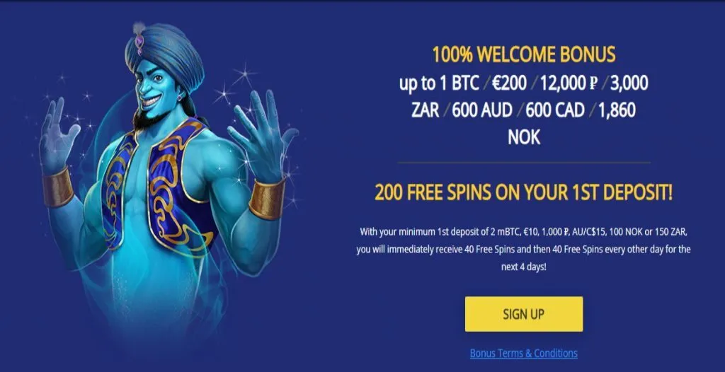 Betchain Casino 200 Free spins + 100% up to 1 BTC Welcome Bonus 6 Betchain Casino 200 Free Spins + 100% Bonus Terms