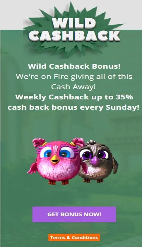 CryptoWild Casino 35% Cashback 6 Cryptowild Casino 35% Cashback Bonus Terms