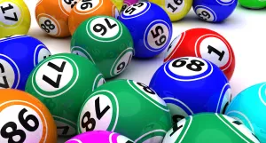 Begin To Understand How To Play Bingo