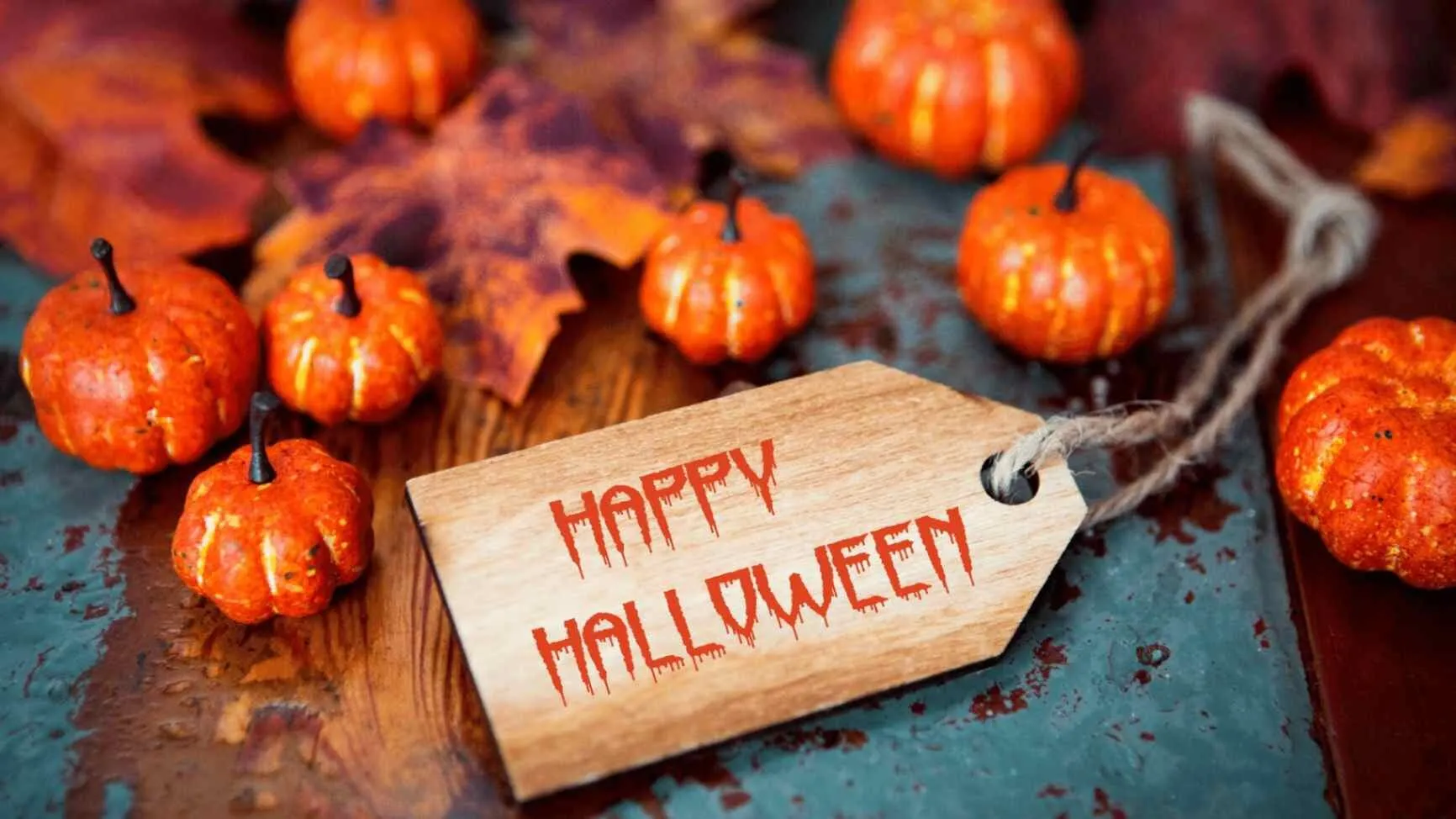 Win Big This Halloween by Playing These 10 Spooky Slots! 1 Win Big This Halloween By Playing These 10 Spooky Slots!
